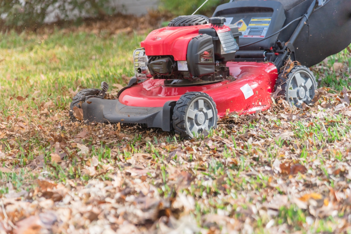 Using lawn mower to mulch leaves