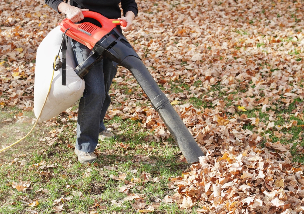 Person using leaf vacuum