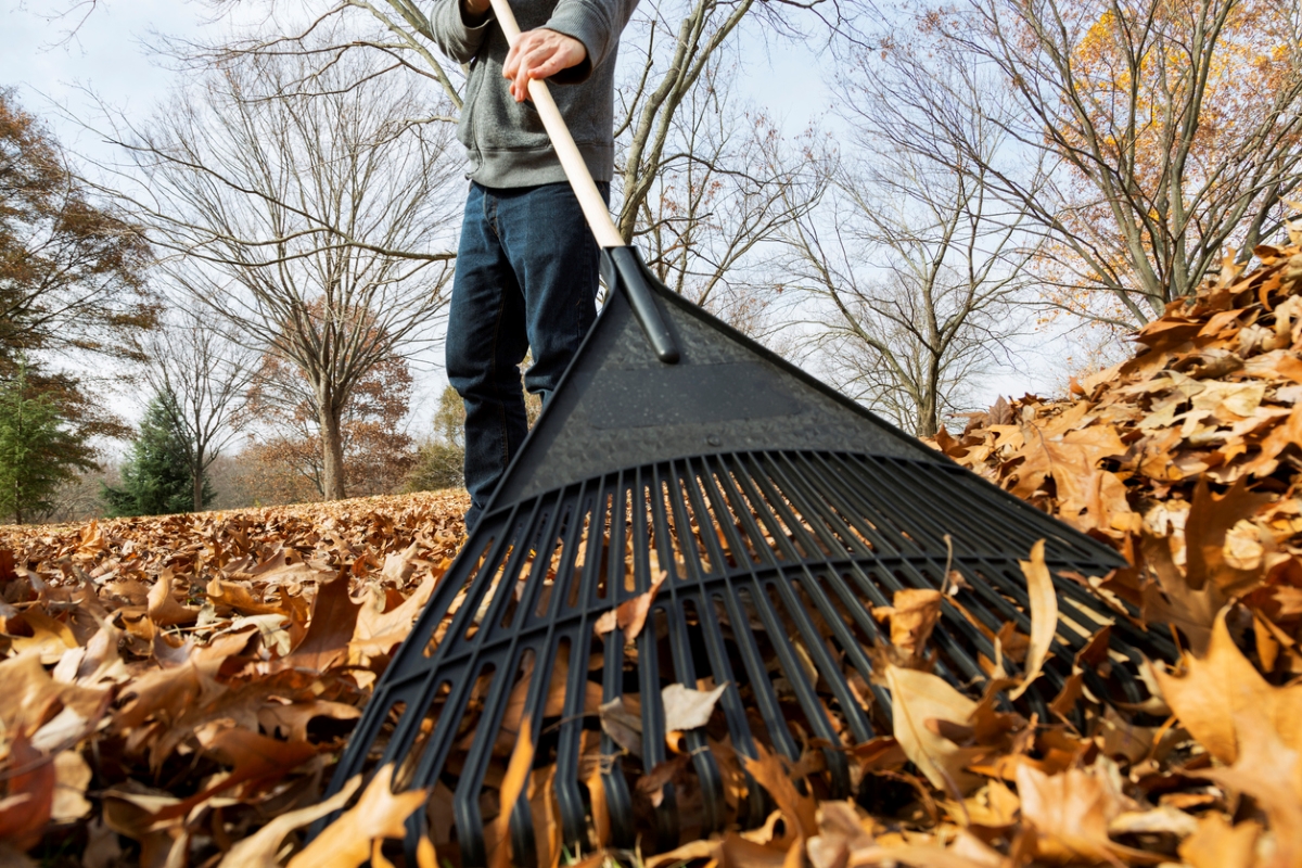 Person using rake