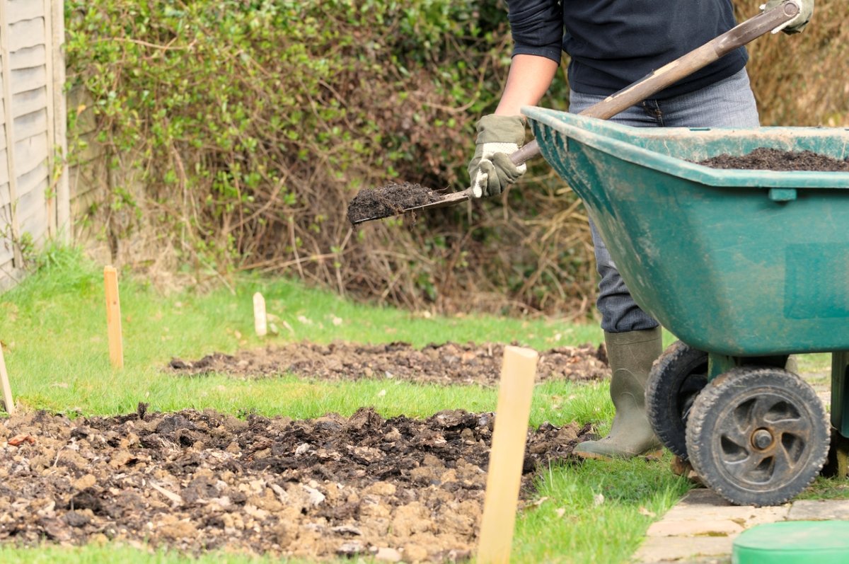 19 Fall Gardening Practices That Will Protect and Enrich Your Soil in Winter