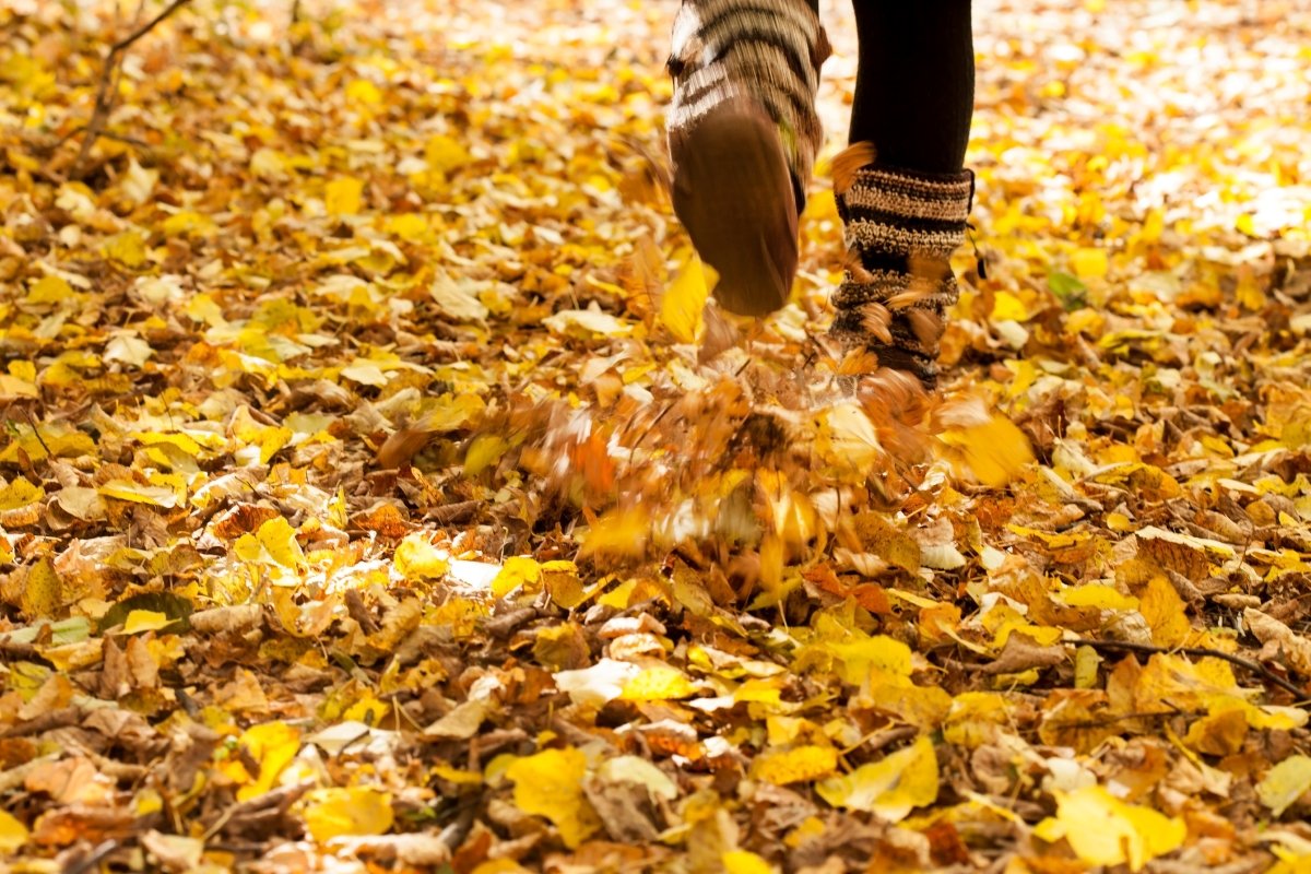 Person stomping on dry leaves.