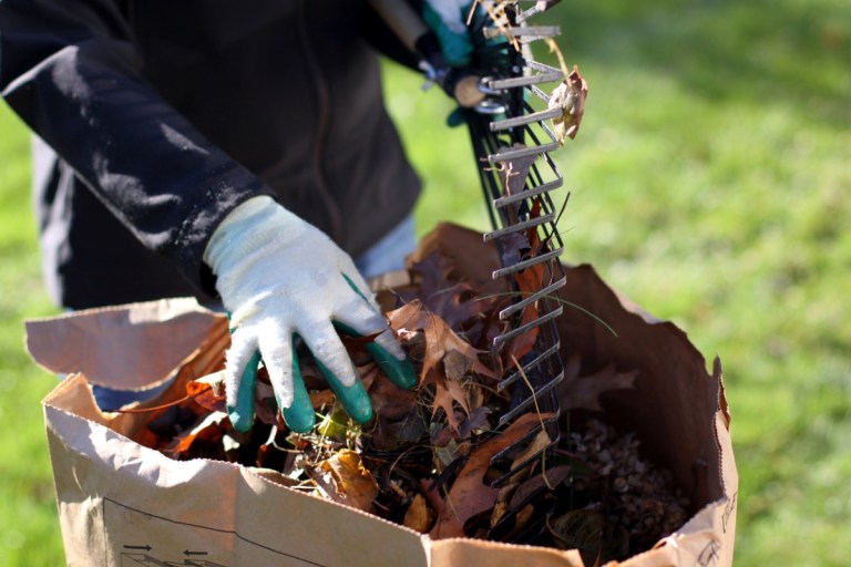 16 Leaf-Raking Lessons No One Ever Taught You - Bob Vila