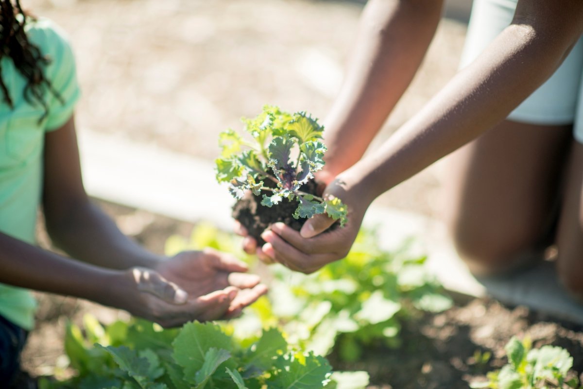 19 Fall Gardening Practices That Will Protect and Enrich Your Soil in Winter