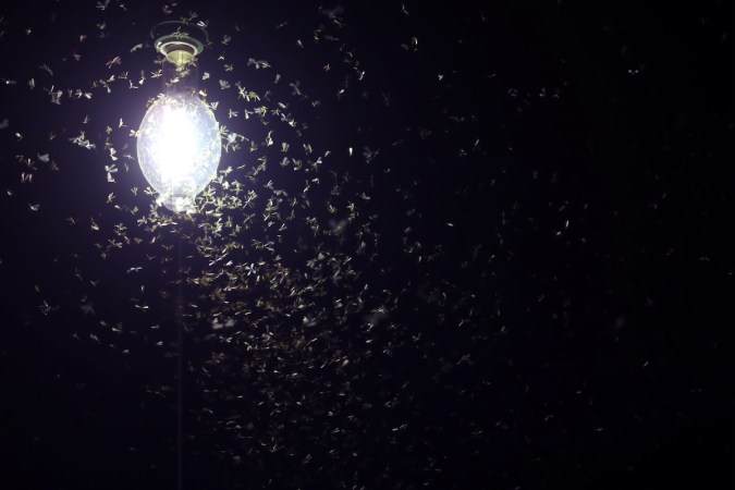Bright porch light at night with a swarm of flying insects around it.