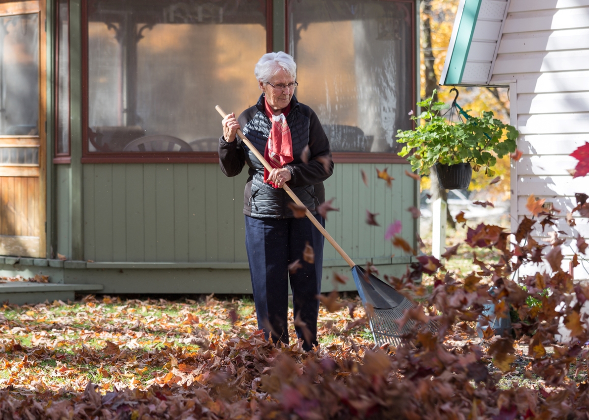 Older woman raking leaves
