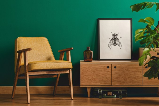 9 Insect-Inspired Interior Décor Ideas