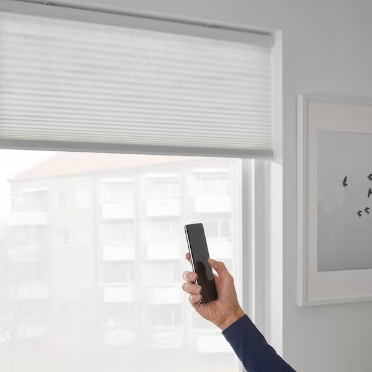 Person using remote for window covering.