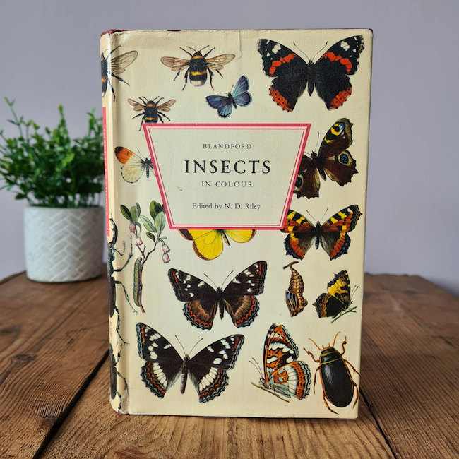A-book-called-Blandford-Insects-in-Colour-with-butterflies-on-the-cover-stands-on-a-wood-table-with-a-plant-in-the-background.