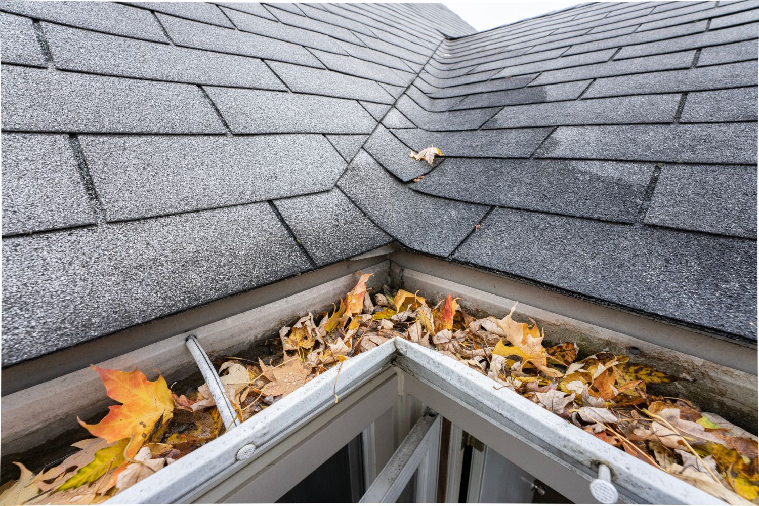 How Much Does LeafGuard Cost? (2024) Bob Vila