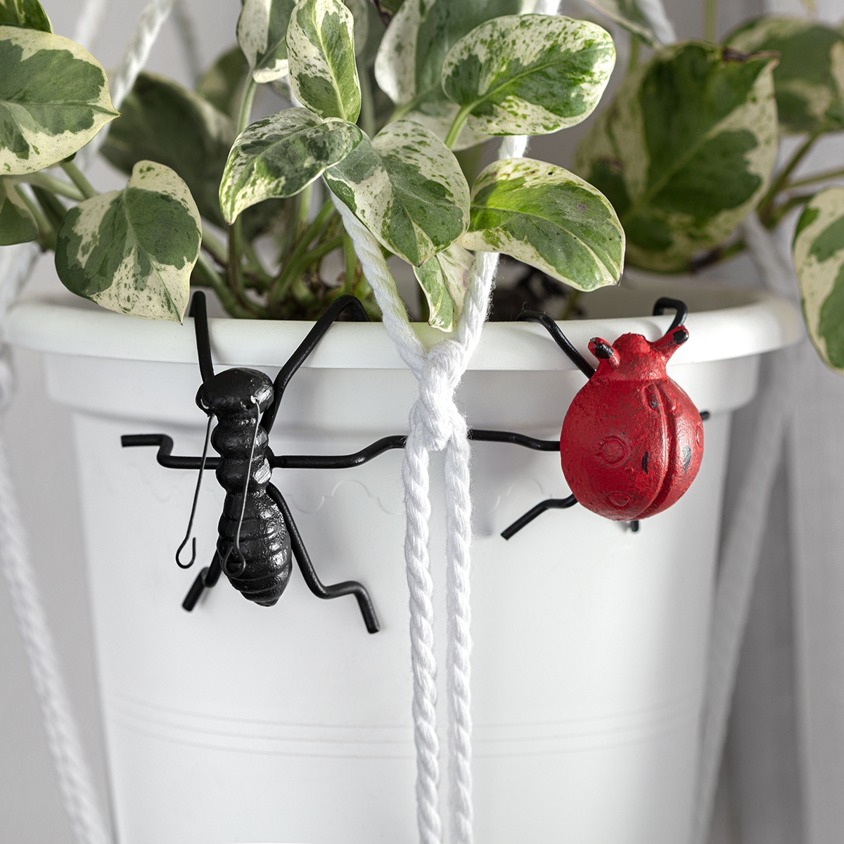 Ladybug and ant plant pot climber.