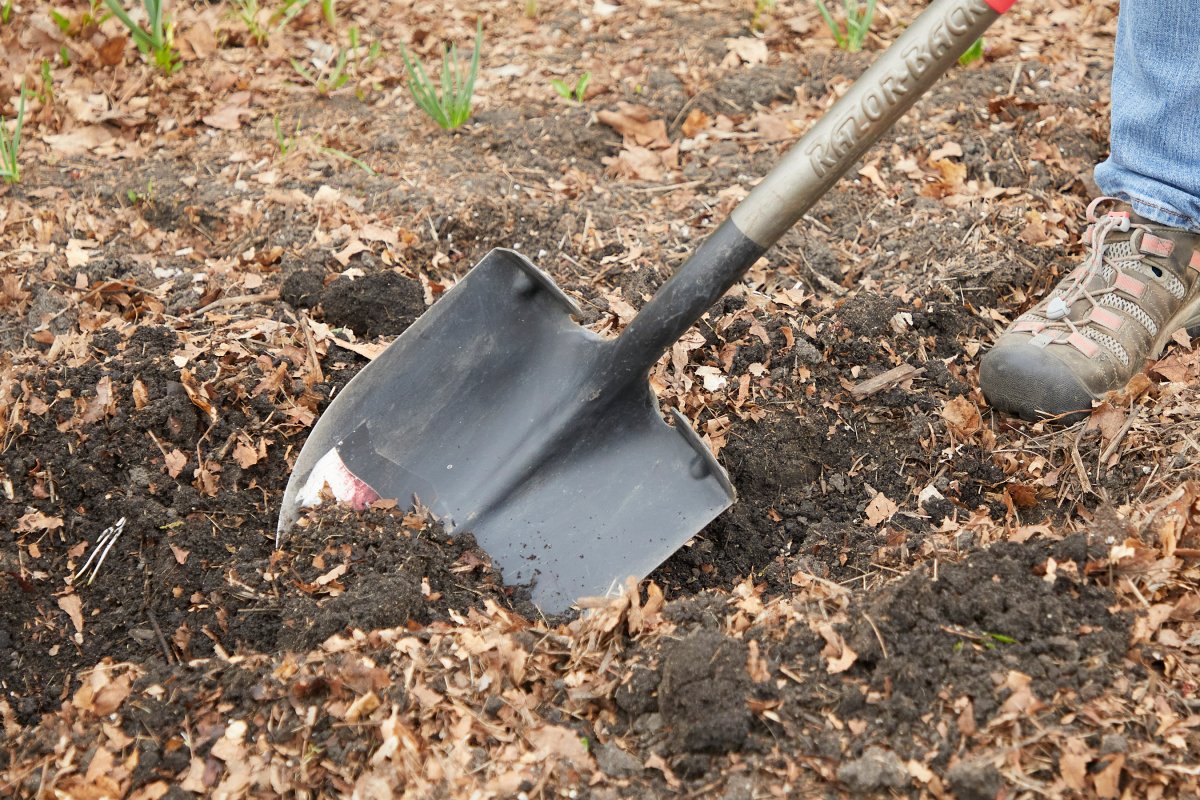 19 Fall Gardening Practices That Will Protect and Enrich Your Soil in Winter