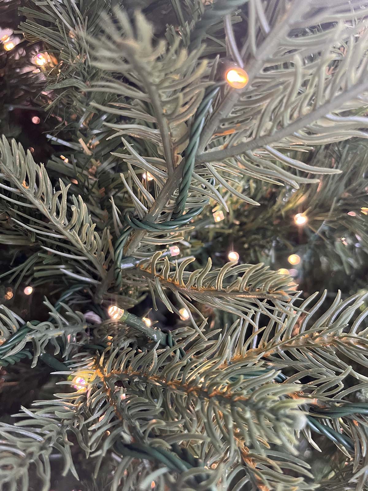 Home Depot viral Grand Duchess Balsam Fir is Back in Stock