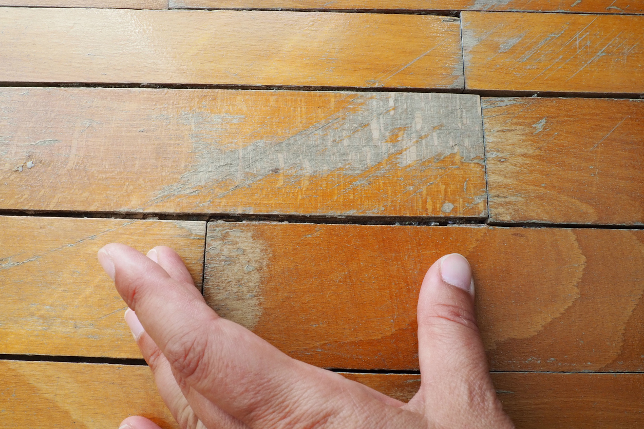 Signs of Mold Under Hardwood Floors