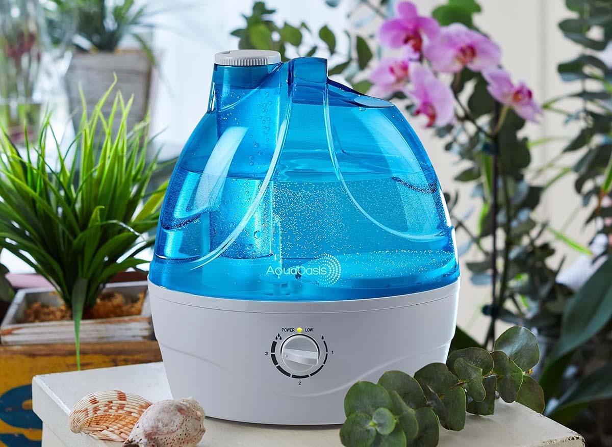 The Best Things to Buy in December Option Humidifiers