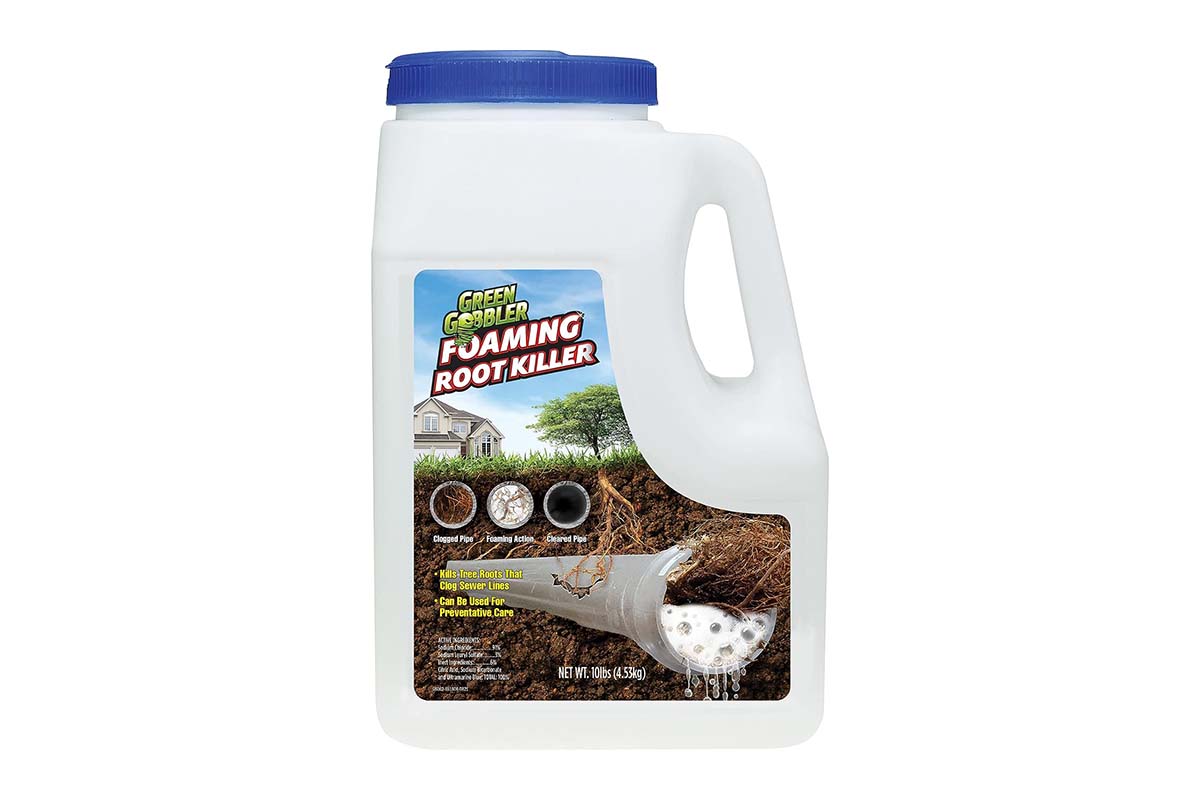 What Our Readers Bought in October Option FOAMING Root Killer