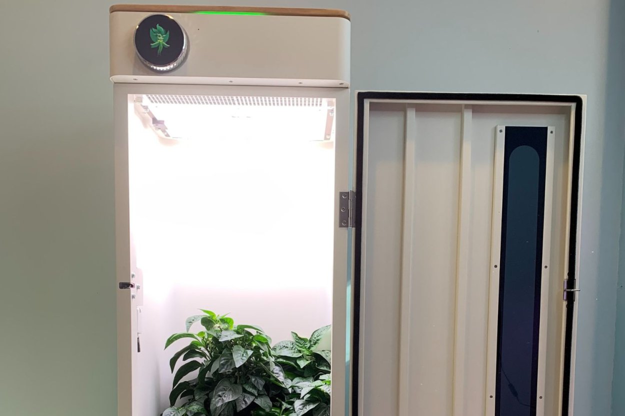 HeyAbby Grow Box Reviewed after a Year of Testing - Bob Vila