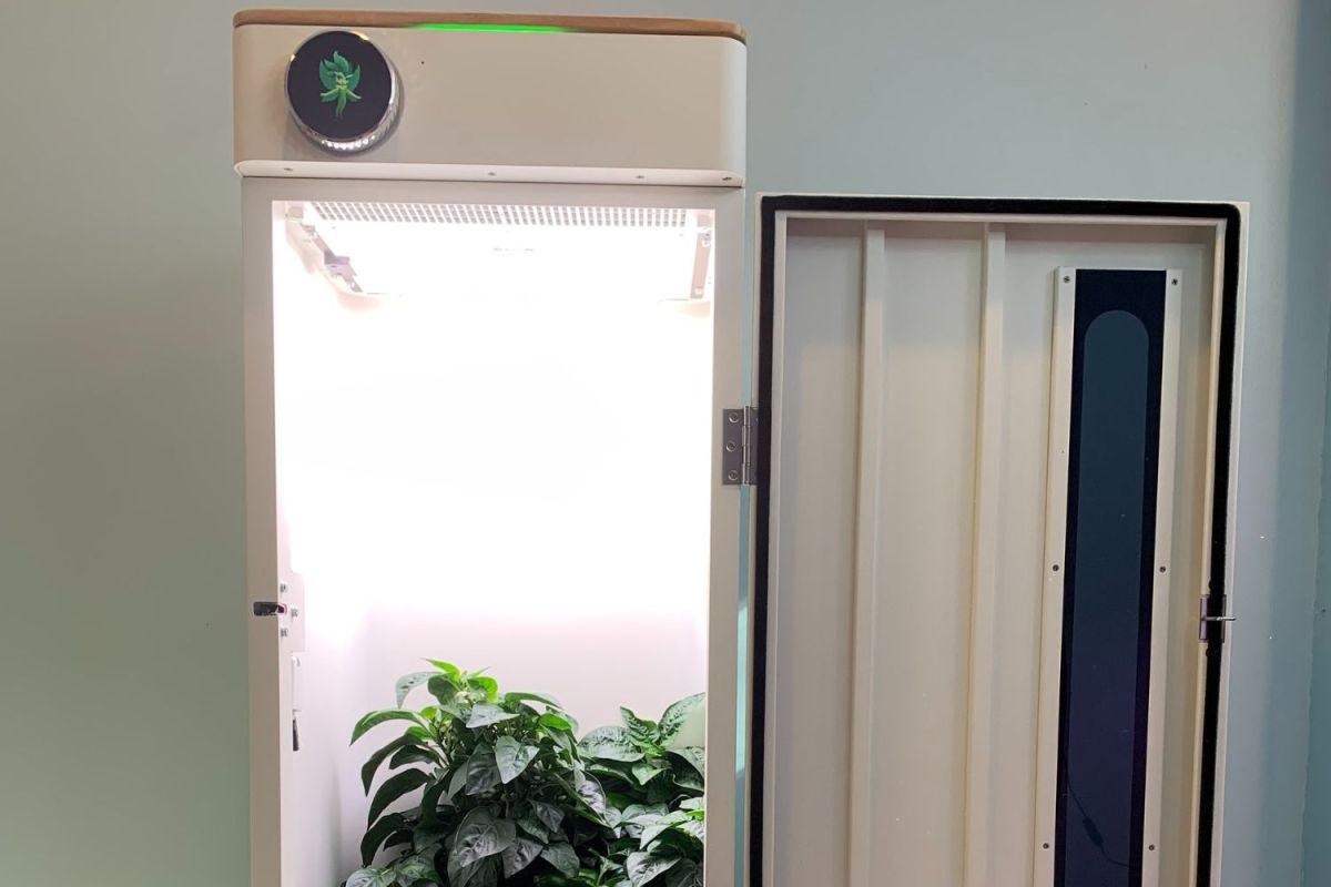 The door of the HeyAbby grow box open to reveal a green pepper plant growing inside.