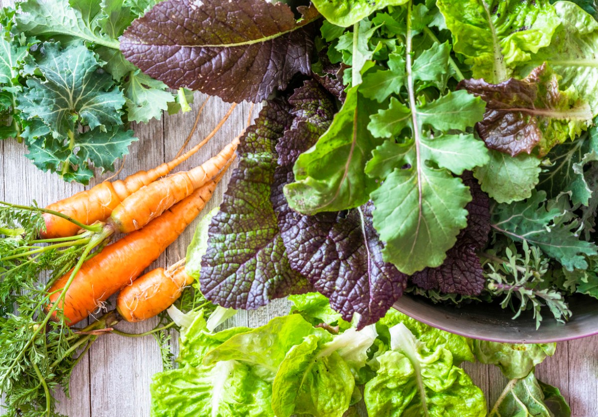 10 Vegetables to Plant in Winter, No Matter Where You Live Bob Vila