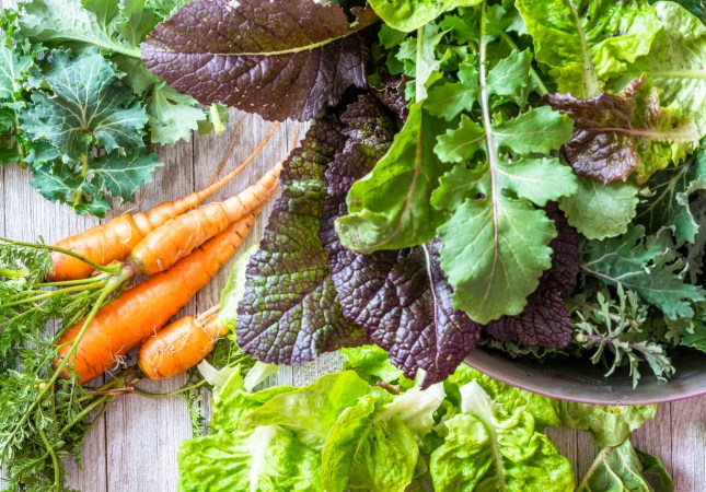 10 Vegetables to Plant in Winter, No Matter Where You Live