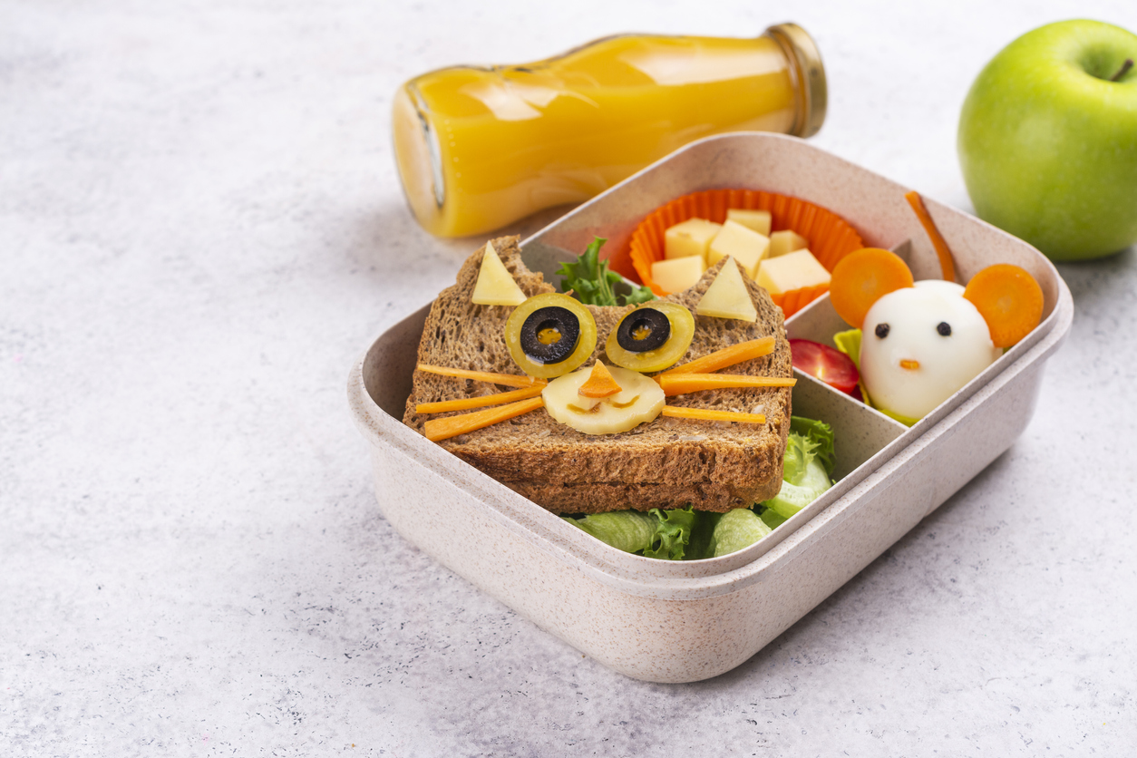 Kids lunch box with cute cat sandwich, cheese cubes in a silicone cup and mouse made from boiled egg.
