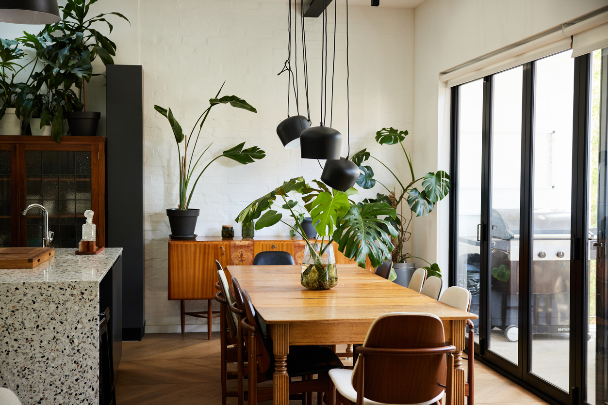 Chairs and a dining table with a plant on it sitting next to patio doors in a modern open plan home with lots of potted plants.