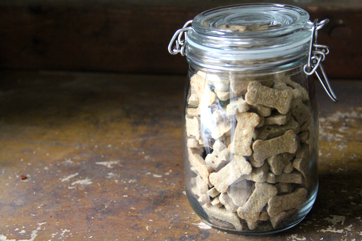 This is a glass mason jar full of dog cookies set on a wooden shelf in the sunlight and offset to the right.