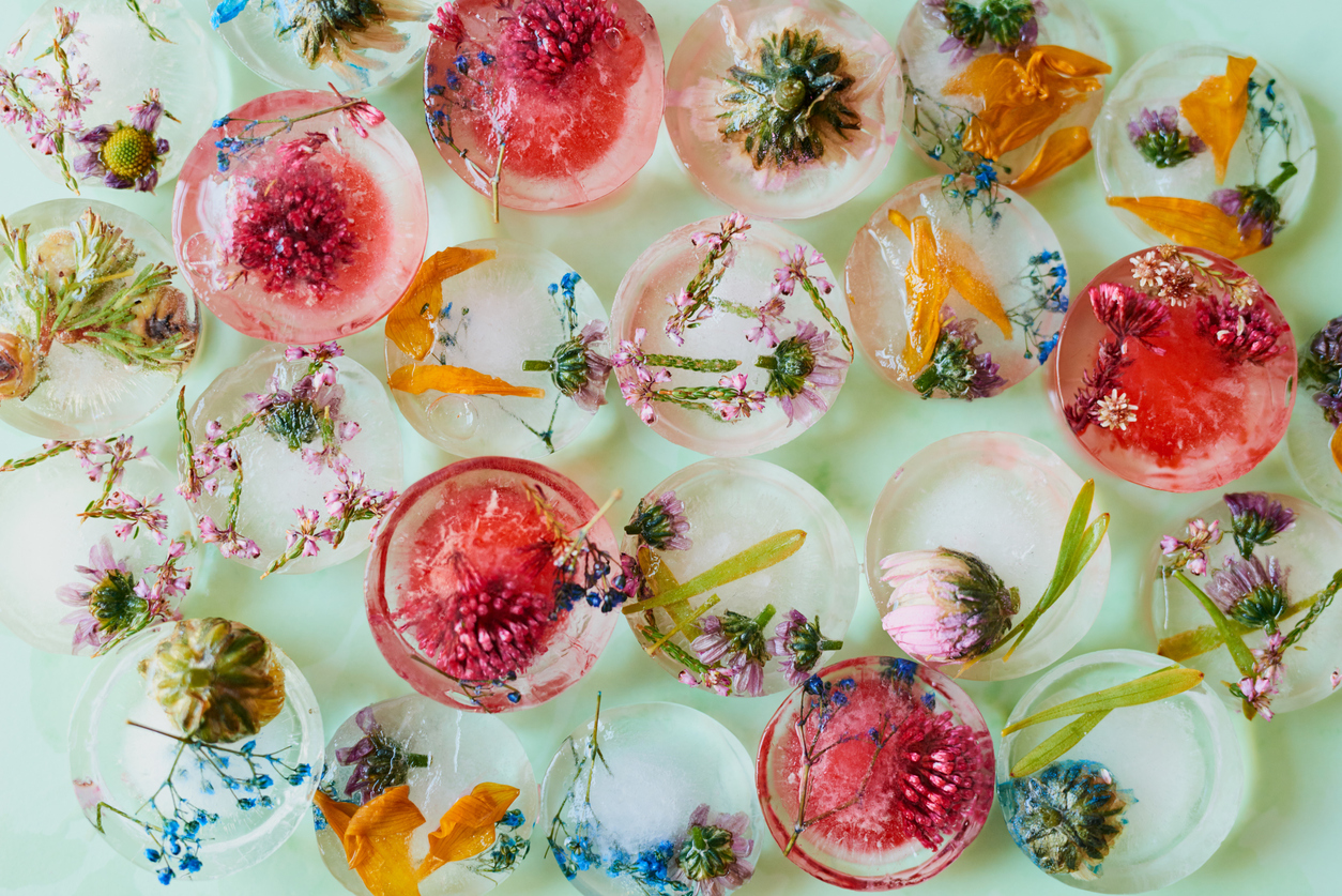 overhead view of decorative ice cubes with flowers frozen inside