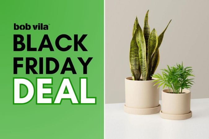 We Found the Most Delightfully Eclectic Home Decor Items On Sale for Black Friday