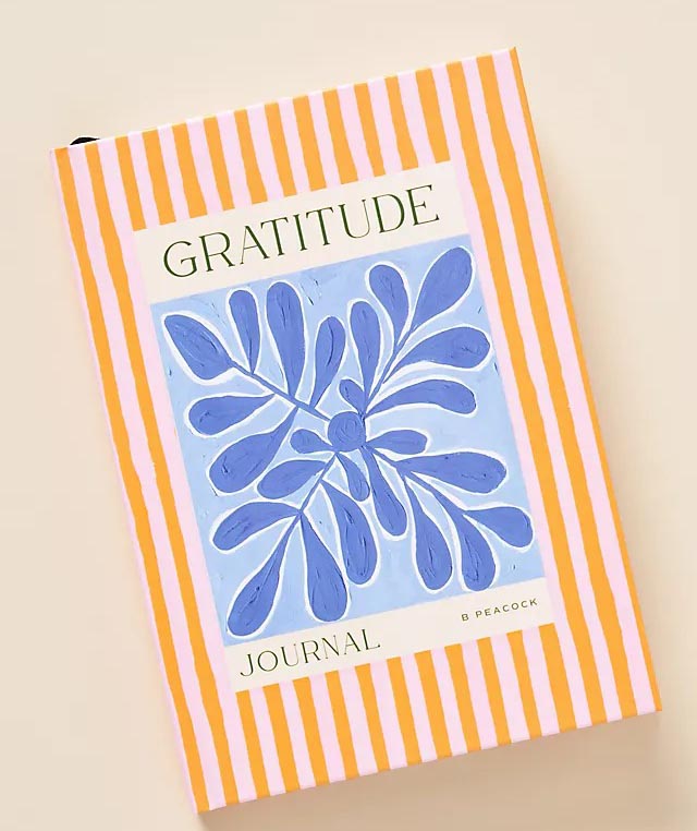 Gift Ideas Every Homebody Will Love Option Gratitude Journal