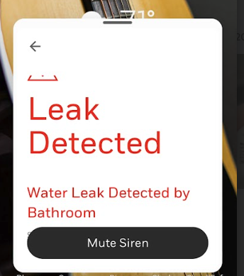 Kiddie water leak detector notification on smart phone