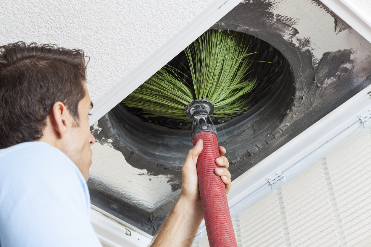 Signs of Black Mold in Air Vents