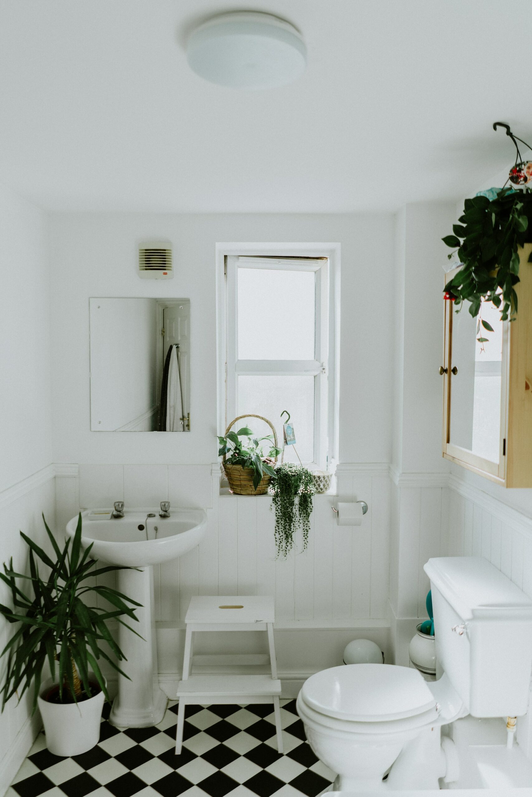 A white bathroom with several houseplants and black-and-white checkered floor tile.
