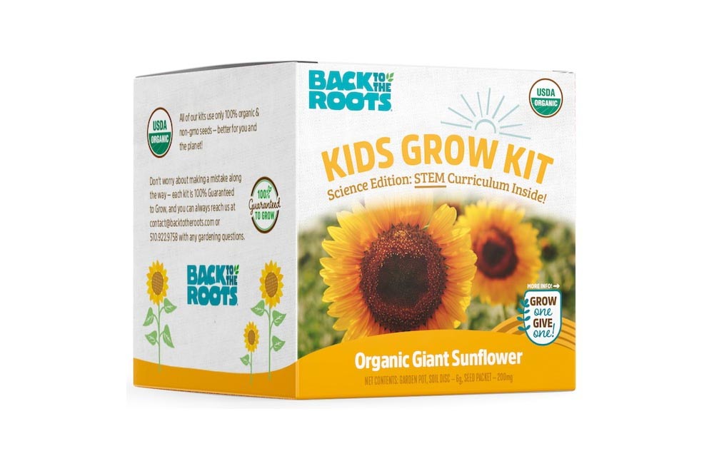 The Best Gifts to Shop at Lowe Option Back to the Roots Kid Science Sunflower Grow Kit