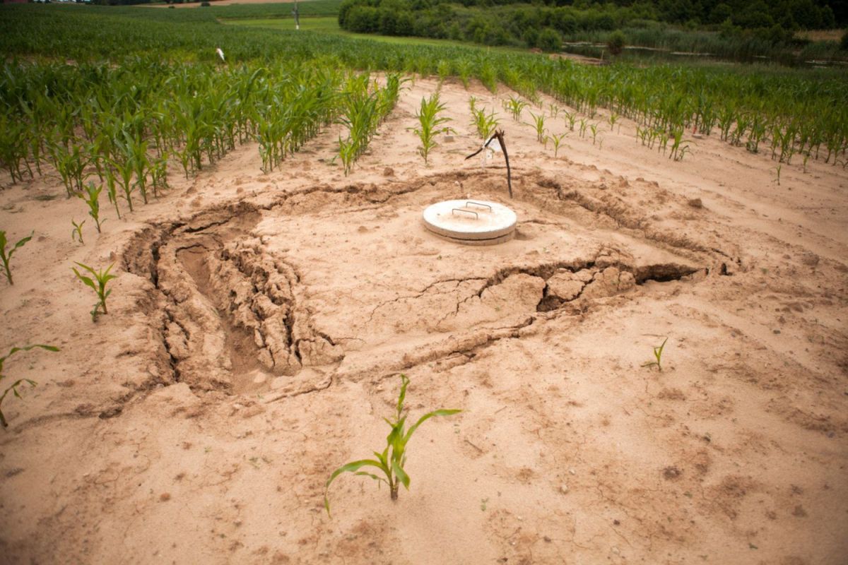 How Much Does It Cost to Replace a Septic Tank and Drain Field?