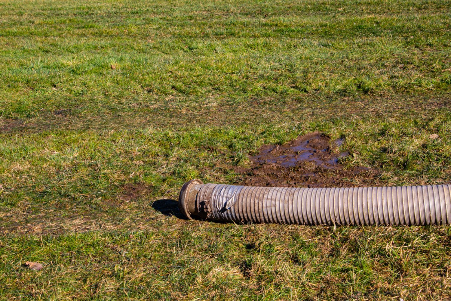 How Much Does It Cost to Replace a Septic Tank and Drain Field