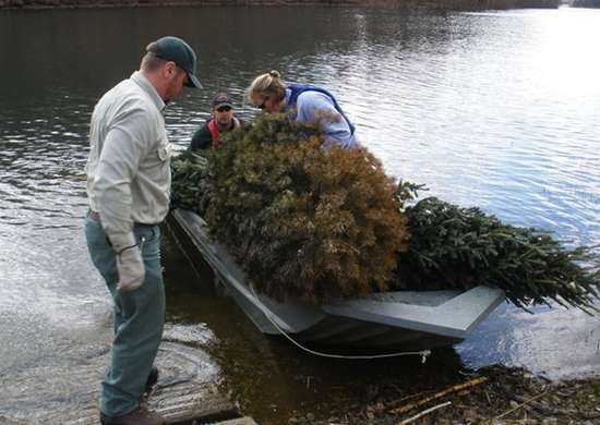 Men loading tree onto a boat