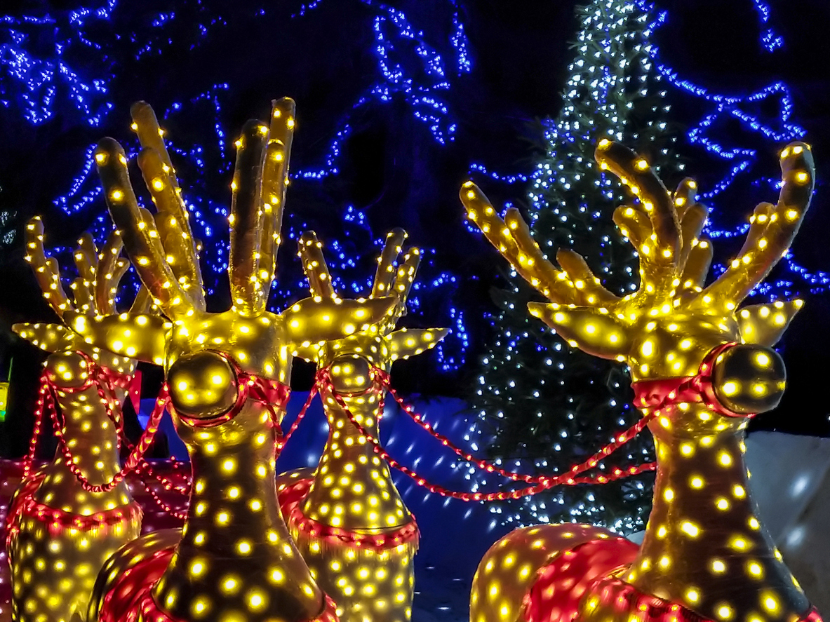 Reindeer-themed Christmas lights.