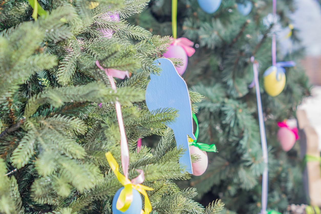 Easter-eggs-and-bird-decorations-hang-on-a-fir-tree.