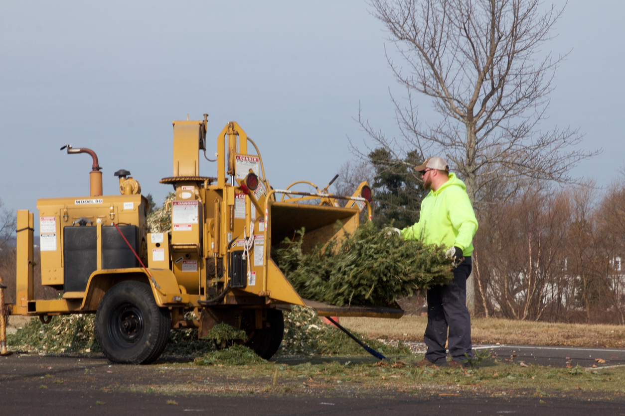 Warminster, Pennsylvania, USA - February 6, 2019: After the holidays, Christmas trees are ground up into mulch by a wood chipper by municipal workers.