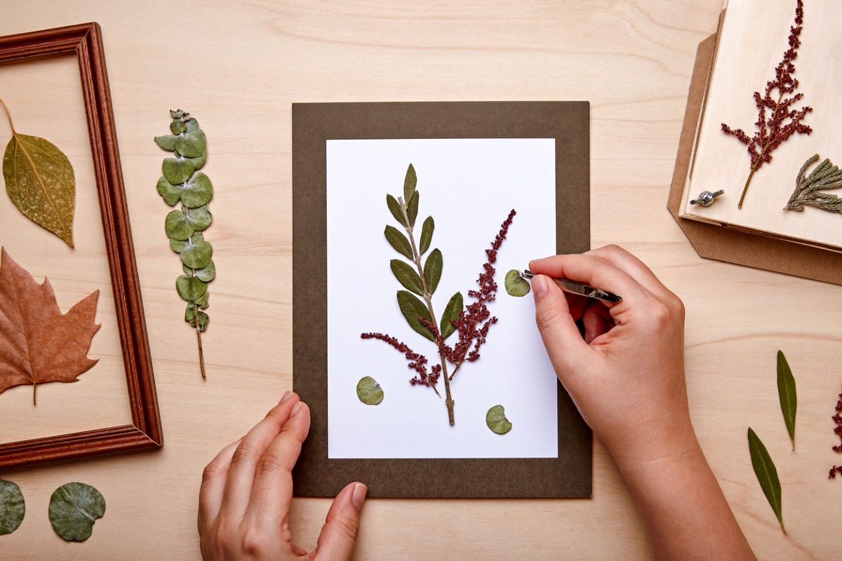 DIY cardboard picture frame with dried plants.