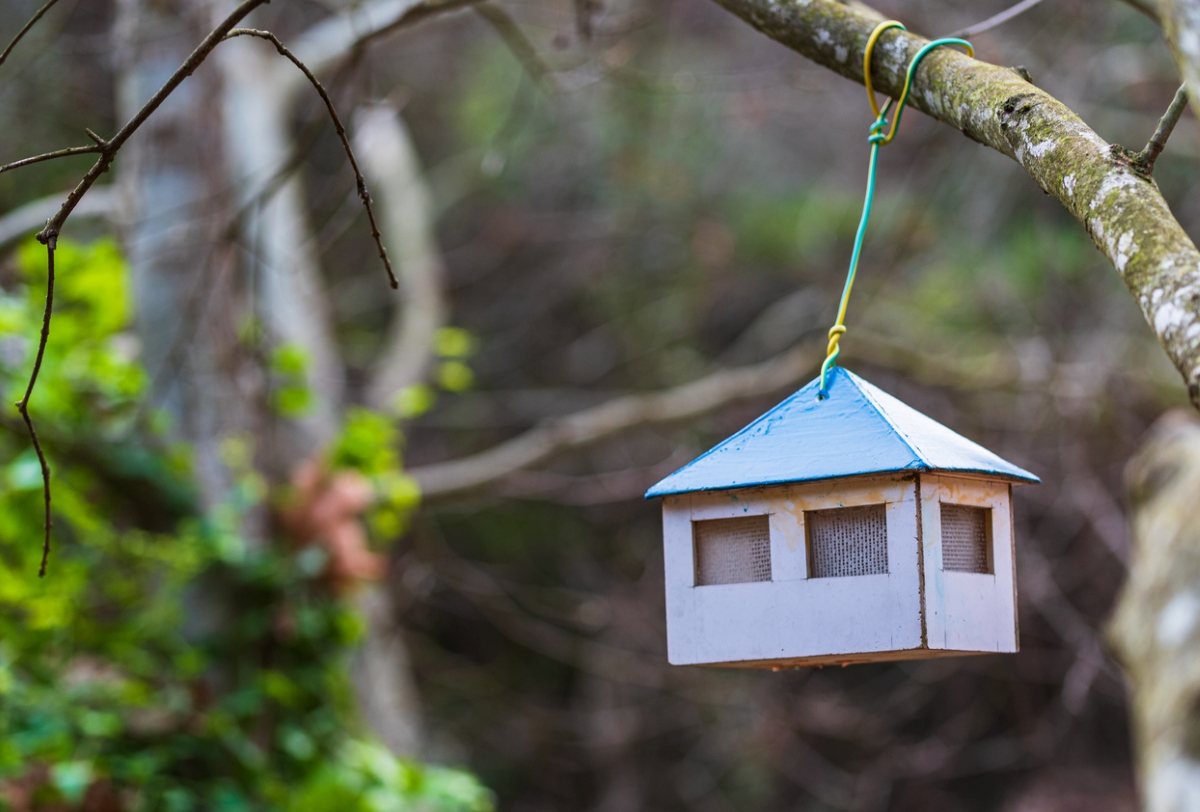 DIY birdhouse.
