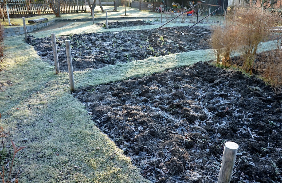 A large backyard garden with frost covering the soil.