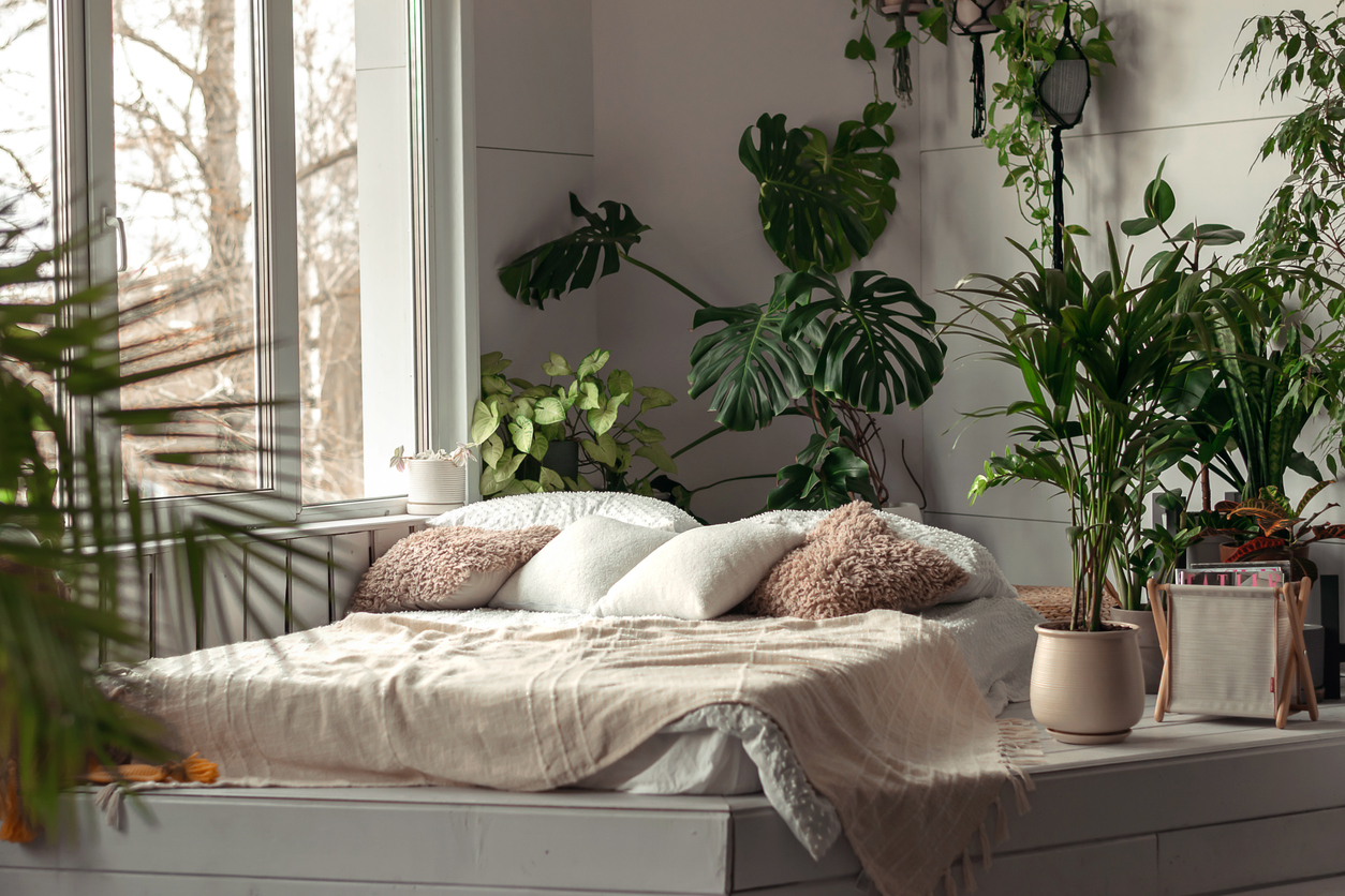Cozy bright bedroom with indoor plants, Biophilia design.