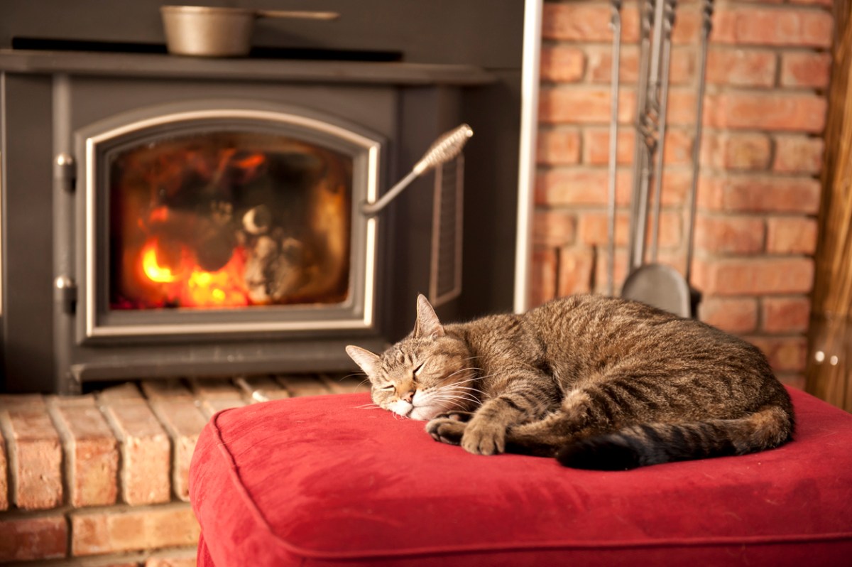 A-tabby-cat-is-curled-up-asleep-on-a-red-ottoman-in-front-of-a-wood-burning-stove.