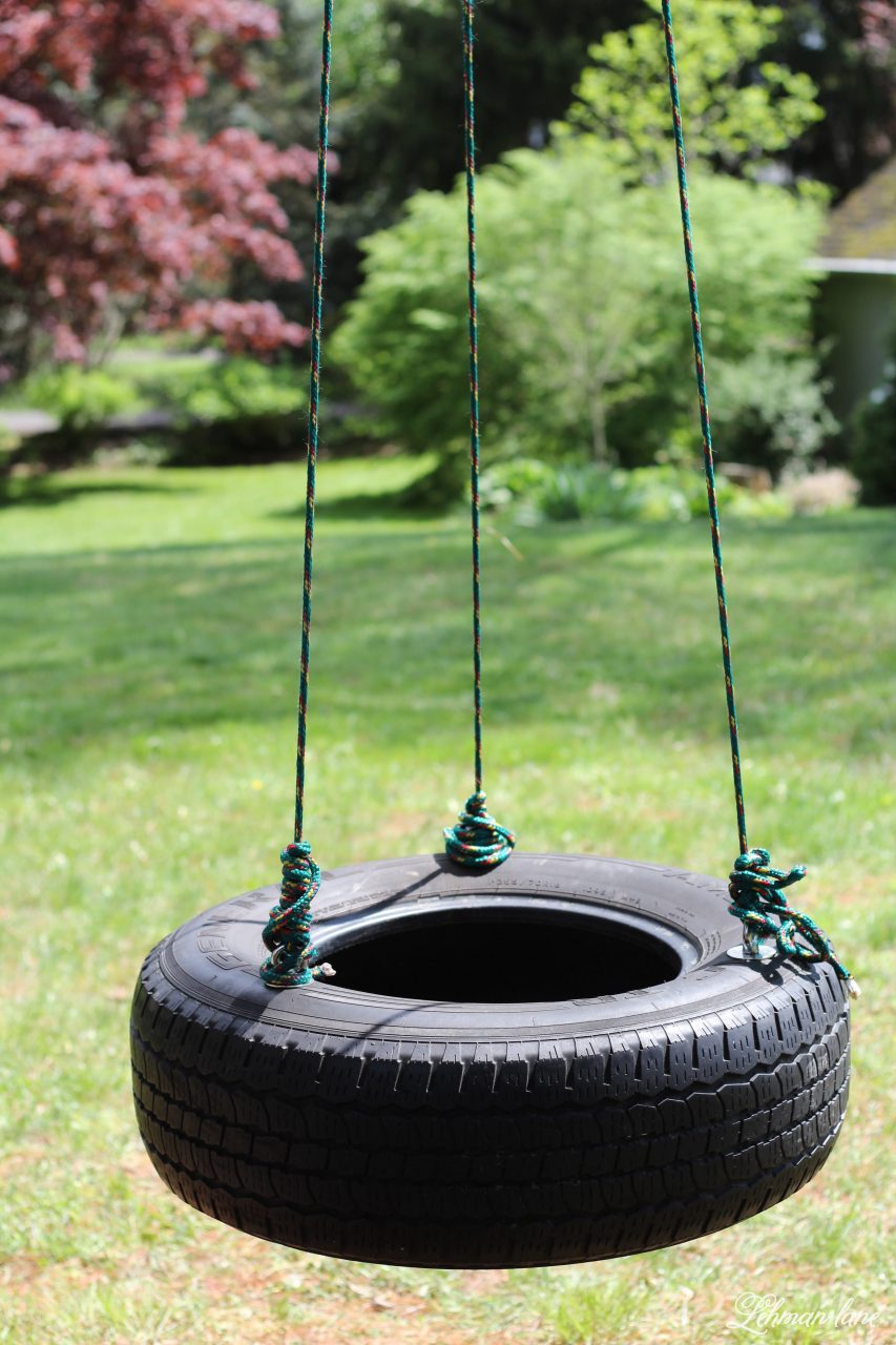 tire swing in a backyard