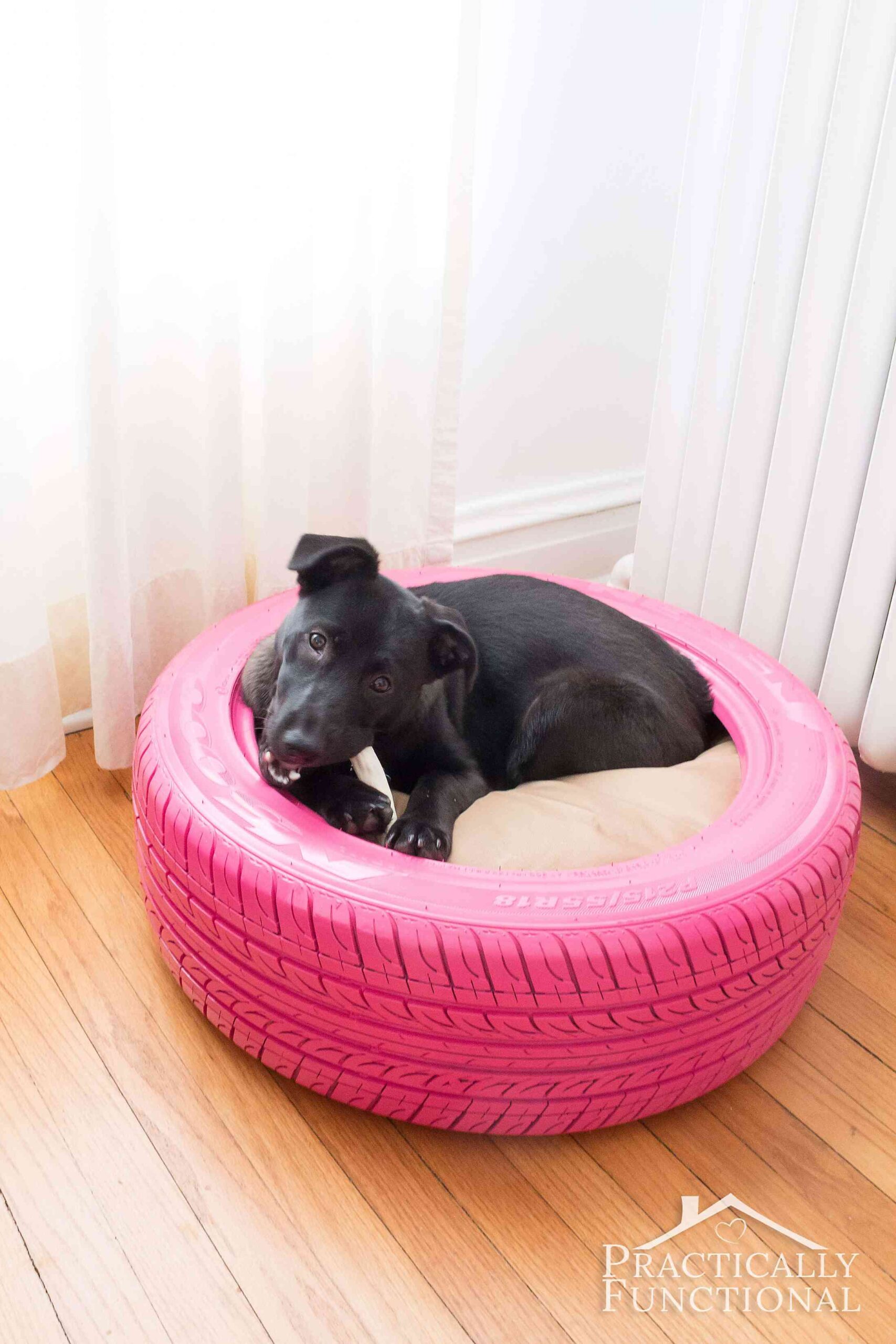 A black labrador puppy curled up inside a pink tire repurposed as a pet bed.
