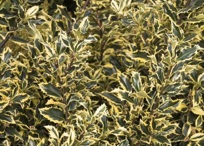 Post image 9
