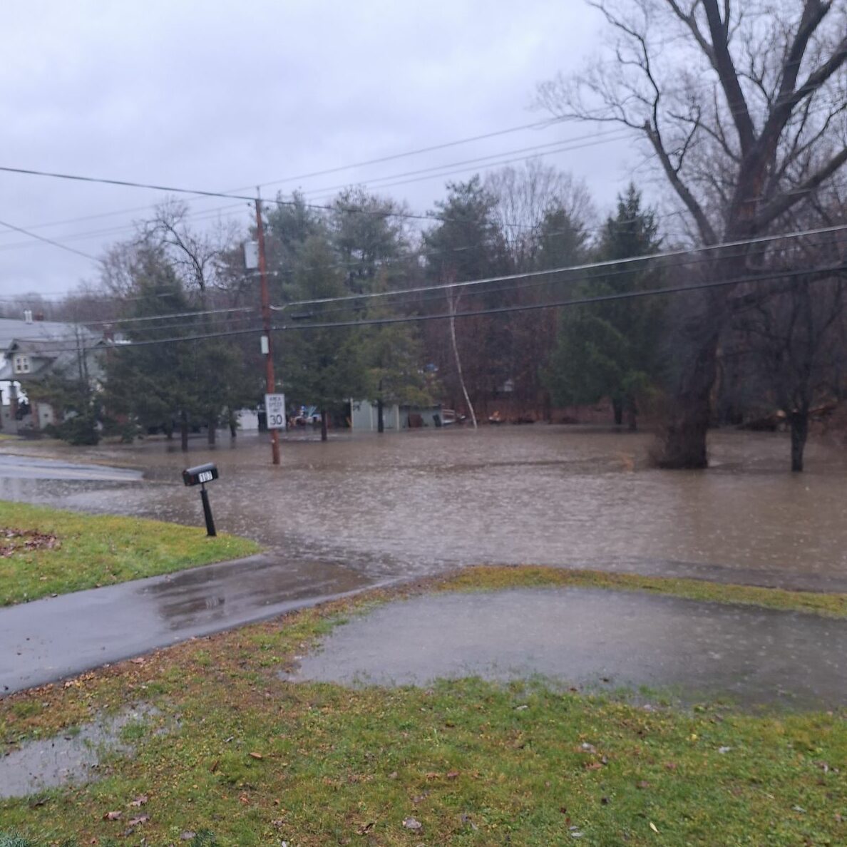 A front yard flooded from rain and snow melt