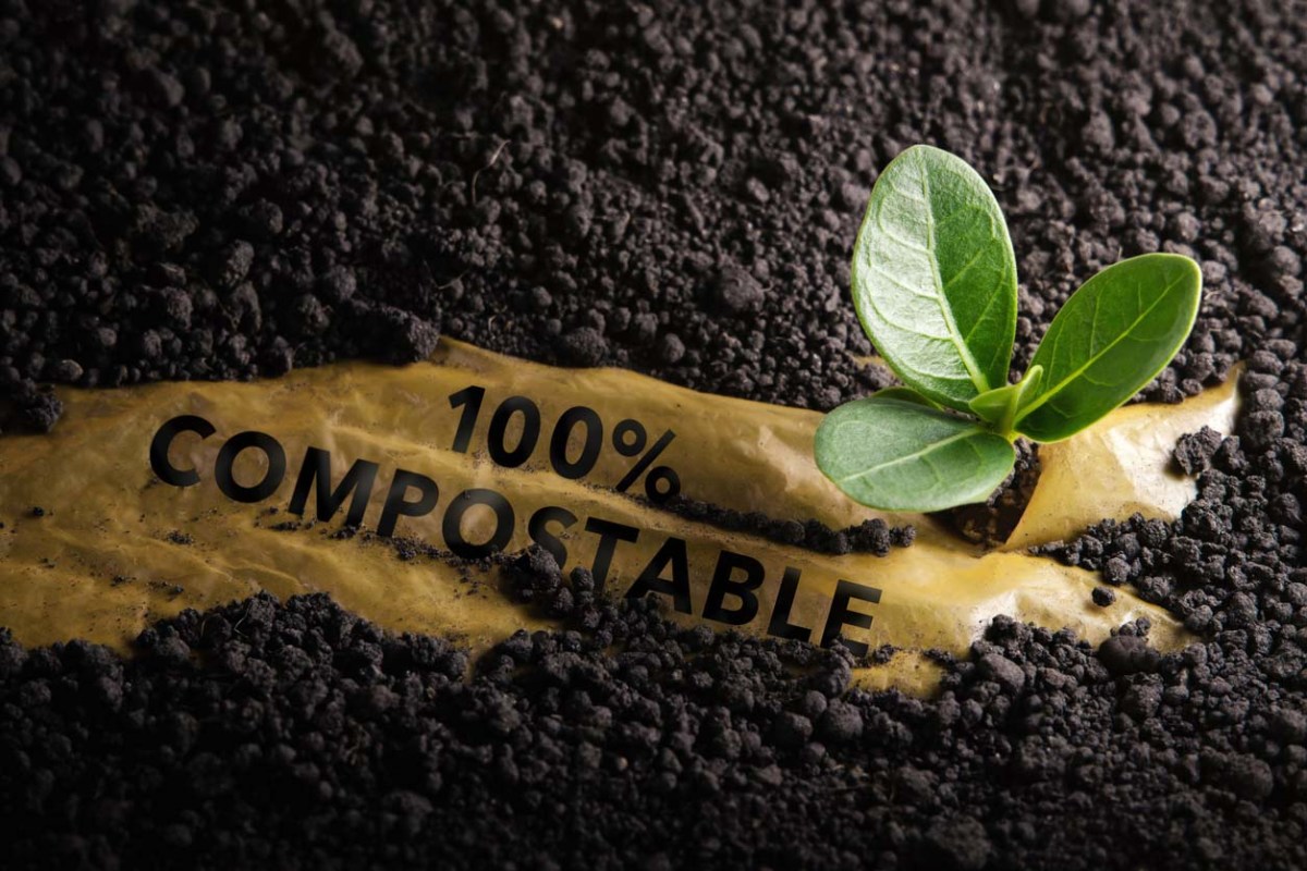 The Best Compostable Products