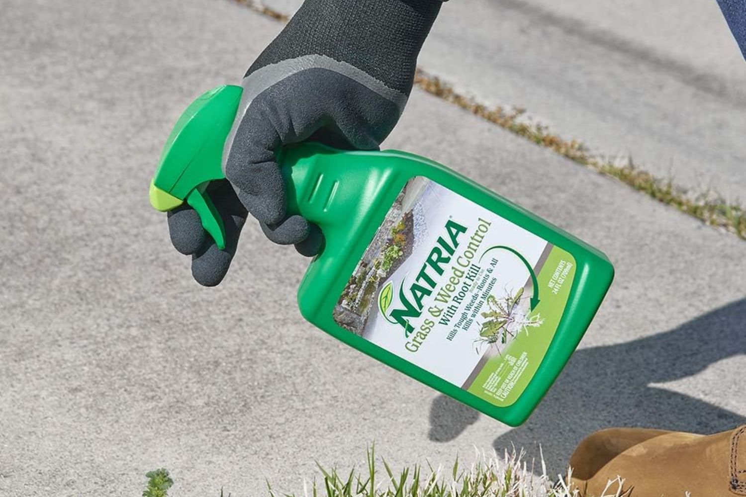 A person wearing gloves while holding the Natria Grass and Weed Control With Root Kill over a grassy area next to a sidewalk.